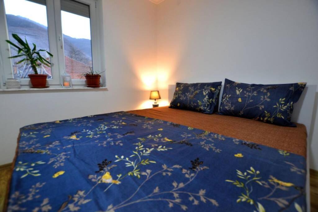 View Apartments Belasica Mokrijevo Eksteriør billede